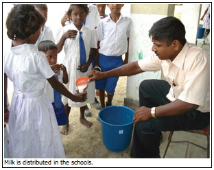 Milk is distributed in the schools.
